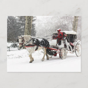 Carte Postale Photo de Cheval et Buggy dans Central Park Winter