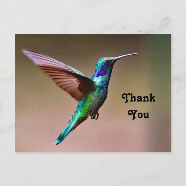Carte Postale Photo de colibri vert sauvage Merci (Devant)