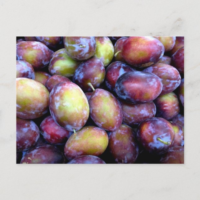 Carte postale photo de fruits de prune (Devant)