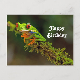 Carte Postale Photo de grenouille arboricole à yeux rouges pour