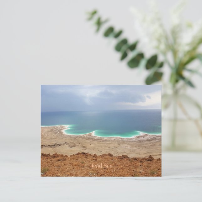 Carte Postale Photo de la mer morte (Debout devant)