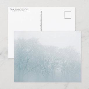 Carte Postale Photo de la nature hivernale