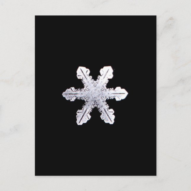Carte Postale Photo de la véritable enneigement (Devant)