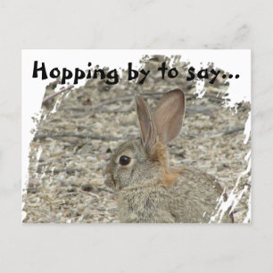 Carte Postale Photo de lapin Merci, Félicitations neutres en ter