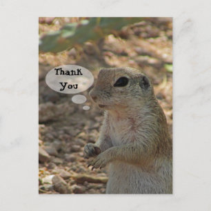 Carte Postale Photo de l'écureuil de terre Merci Animal du déser