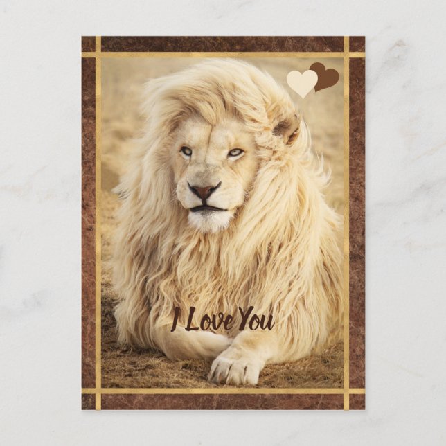 Carte Postale Photo de Lion blanc Je t'aime (Devant)