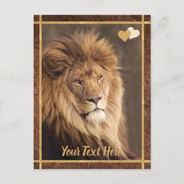 Carte Postale Photo de Lion Majestic (Devant)