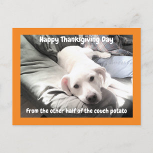 Carte Postale Photo de mignon chien blanc avec papa Thanksgiving
