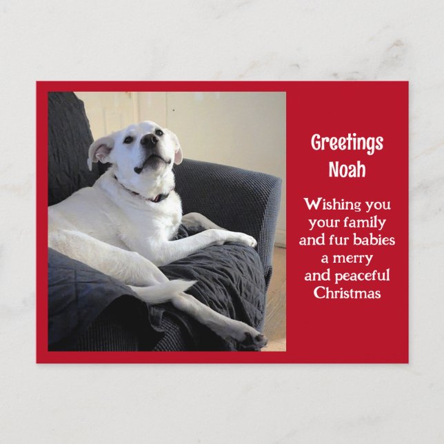 Carte Postale Photo de mignonne Talking Dog Red Christmas (Devant)