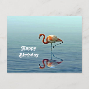 Carte Postale Photo de naissance de faune avec reflet rose de fl
