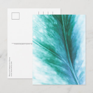 Carte Postale Photo de nature florale