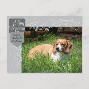 Carte postale photo de Noël Silver Tab et Flourish