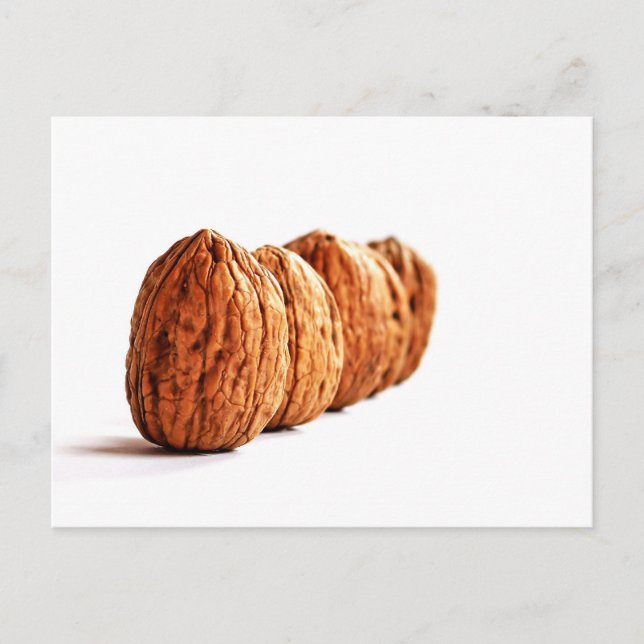 Carte Postale Photo de noix en blanc (Devant)