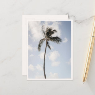 Carte Postale Photo de palmier Plage tropicale Hawaï