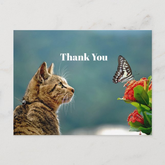 Carte Postale Photo de papillon de chat tabby mignon Merci (Devant)