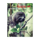 Photo de paresseux dans un arbre