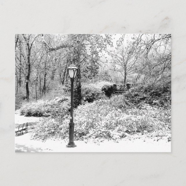 Carte Postale Photo de paysage de neige d'hiver de Central Park (Devant)