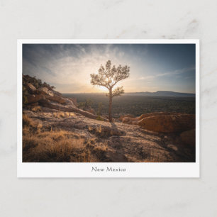 Carte Postale Photo de paysage du Nouveau-Mexique