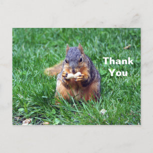 Carte Postale Photo de remerciement d'un écureuil mignon avec un