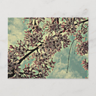 CARTE POSTALE PHOTO DE SAKURA