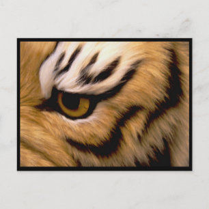 Carte postale photo de tigre