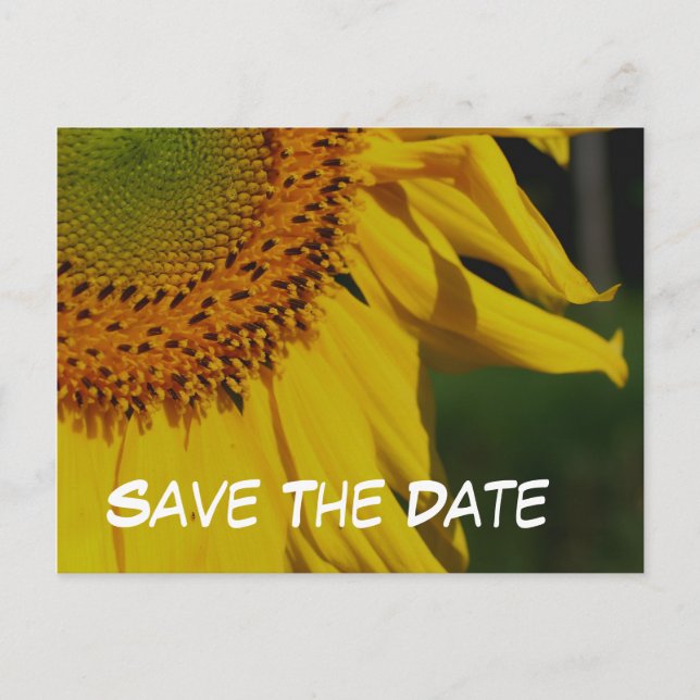 Carte postale photo de tournesol Fleur Save The Da (Devant)