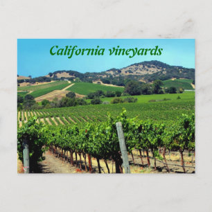 Carte Postale photo de vignoble vert