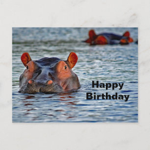 Carte Postale Photo d'eau d'Hippo Faune