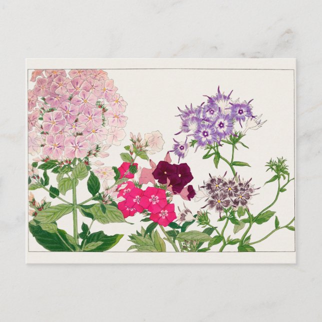 Carte Postale Photo d'été par Tanigami Konan (Devant)