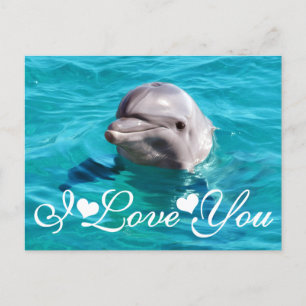Carte Postale Photo Dolphin Blue Water Image I Love You