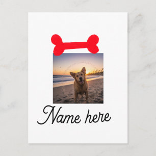 Carte Postale Photo d'os de chien rouge nom de chien et chat cad