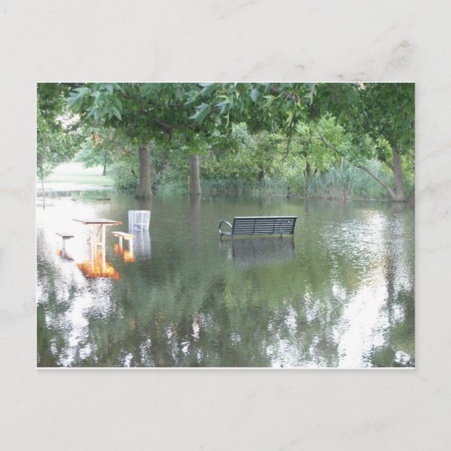 Carte Postale Photo du banc trempé (Devant)