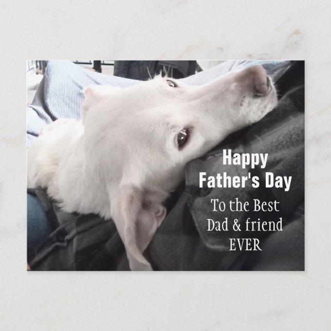 Carte Postale Photo du meilleur papa et de l'ami Mete Dog (Devant)