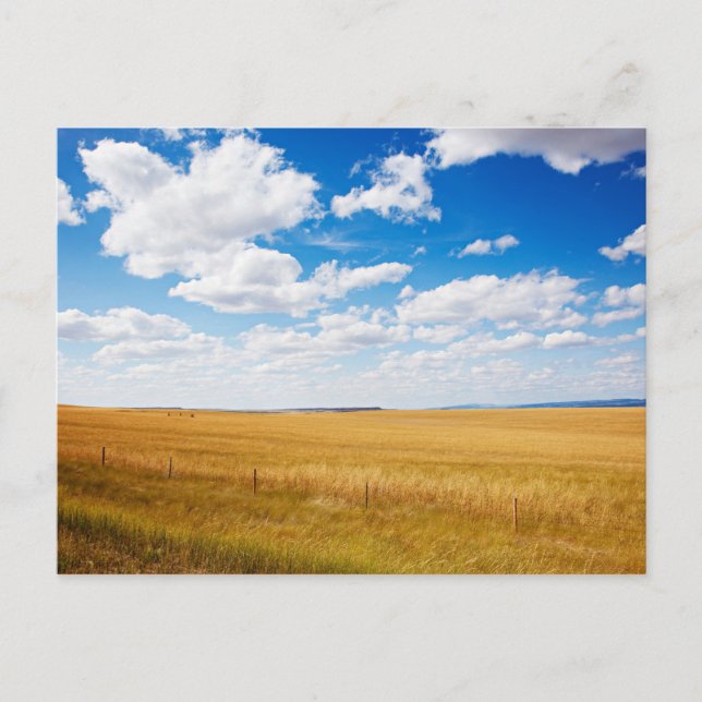 Carte Postale photo du paysage rural du Dakota du Sud (Devant)