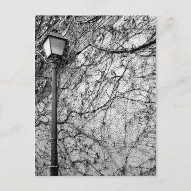 Carte Postale Photo en noir et blanc de Paris Street Lamp (Devant)