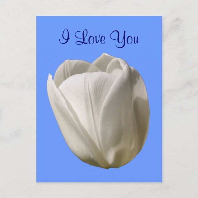 Carte Postale Photo Fleur Tulipe Blanche I Love Yo (Devant)