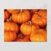 Photo grand Citrouille orange