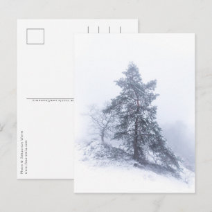 Carte postale photo hiver de l'arbre couvert de ne