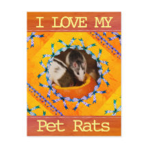 Photo I Love my Pet Rat de Custom
