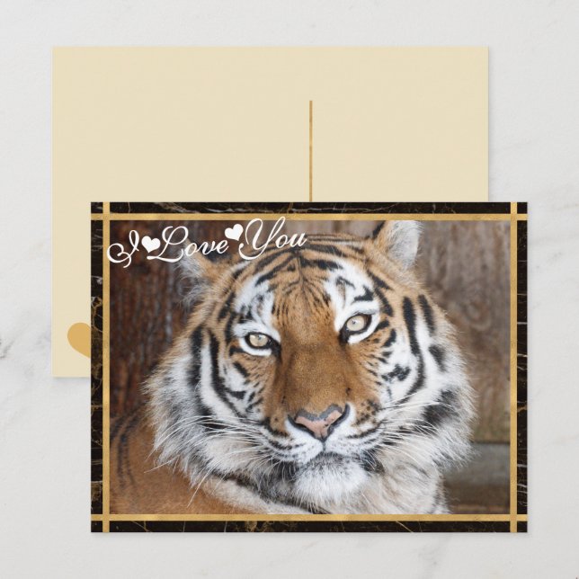 Carte Postale Photo I Love You Tiger (Devant / Derrière)