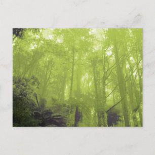 Carte postale photo "L'esprit dans les arbres"