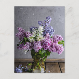 Carte postale photo Lilacs rose, violet et blanc