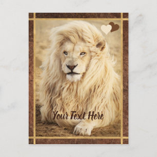 Carte Postale Photo Lion blanc personnalisée