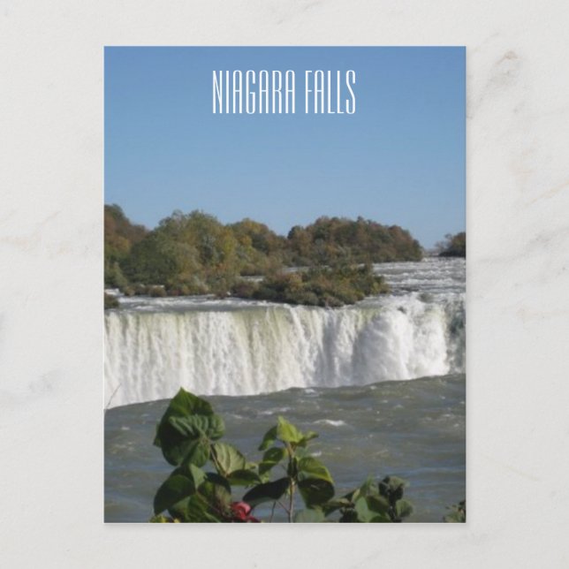 Carte Postale Photo Niagara Falls (Devant)