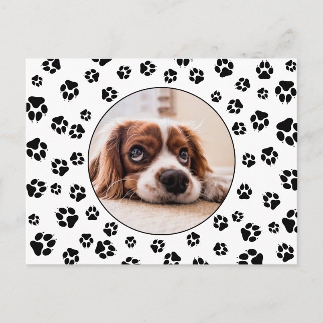 Carte Postale Photo Pawprints Puppy (Devant)