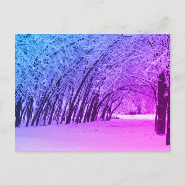 Carte postale photo paysage d'hiver (Devant)
