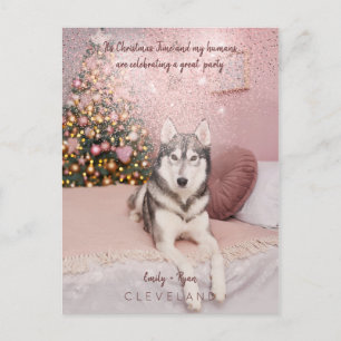 Carte Postale Photo Pet Soirée de Noël sophistiquée