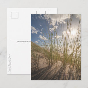 Carte Postale Photo plage et soleil nature