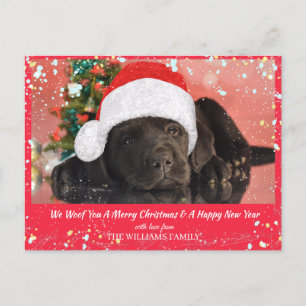 Carte Postale Photo pour animaux de compagnie Amoureux des chien