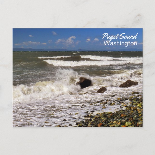 Carte Postale Photo Puget Sound Washington Beach (Devant)
